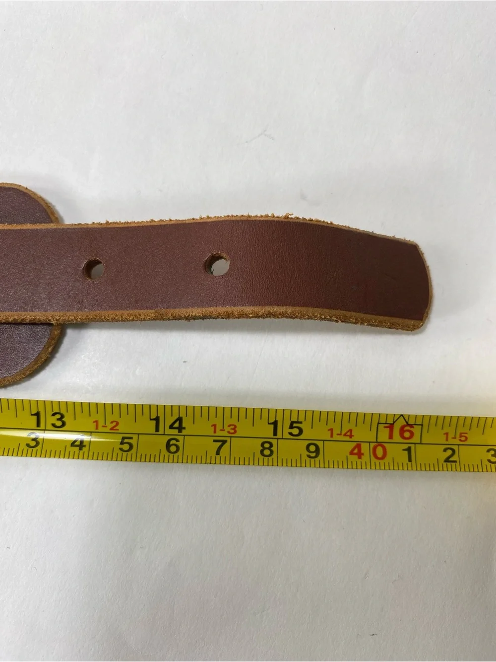 Leathe Dog Collar Animal Dog With Brass Ring and Buckle 11 1/2